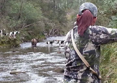 Hounds Australia